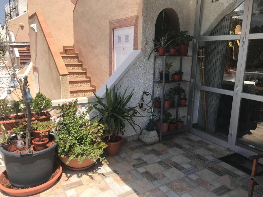 Spacious 2 Bedroom W/ Own Pool 5 Minutes Walk To Beach 坎波阿莫 外观 照片